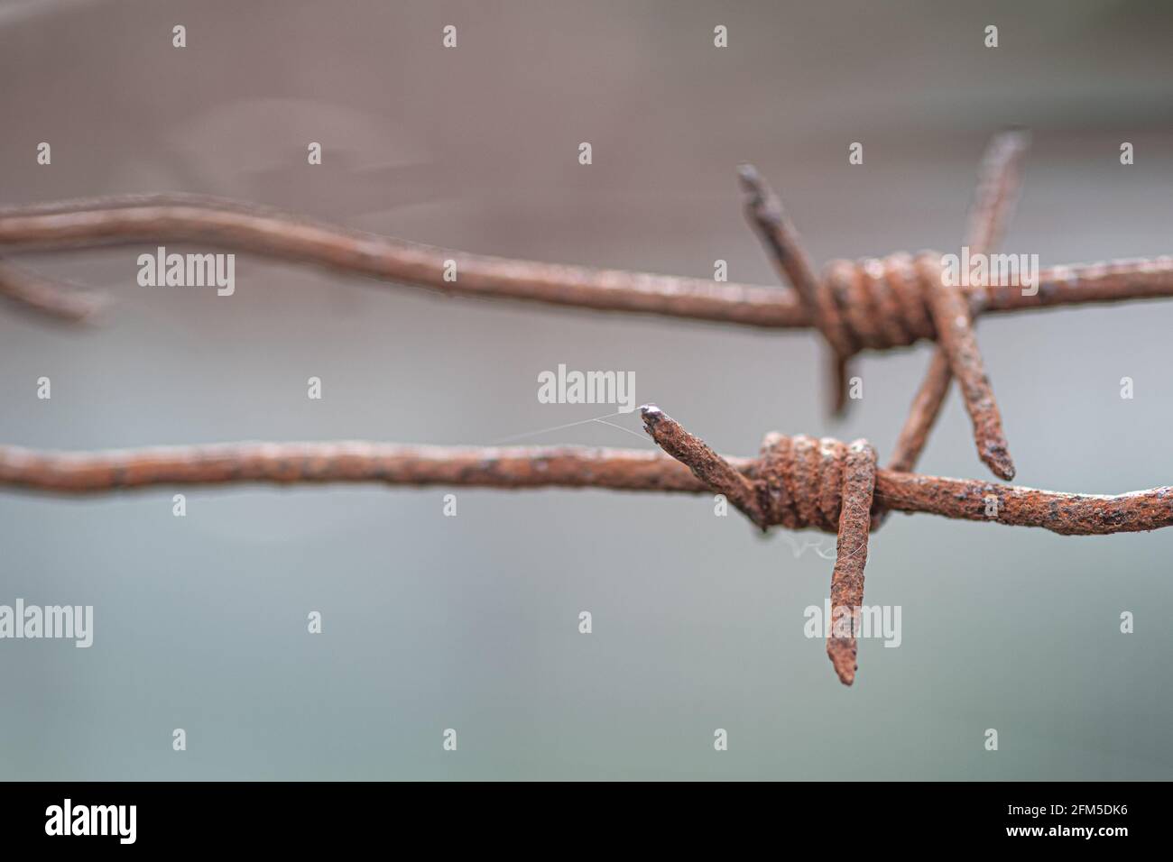 Close-up of a rusty barbed wire fence surrounding a detention, concentration and extermination camp, focus in the background, color Stock Photo