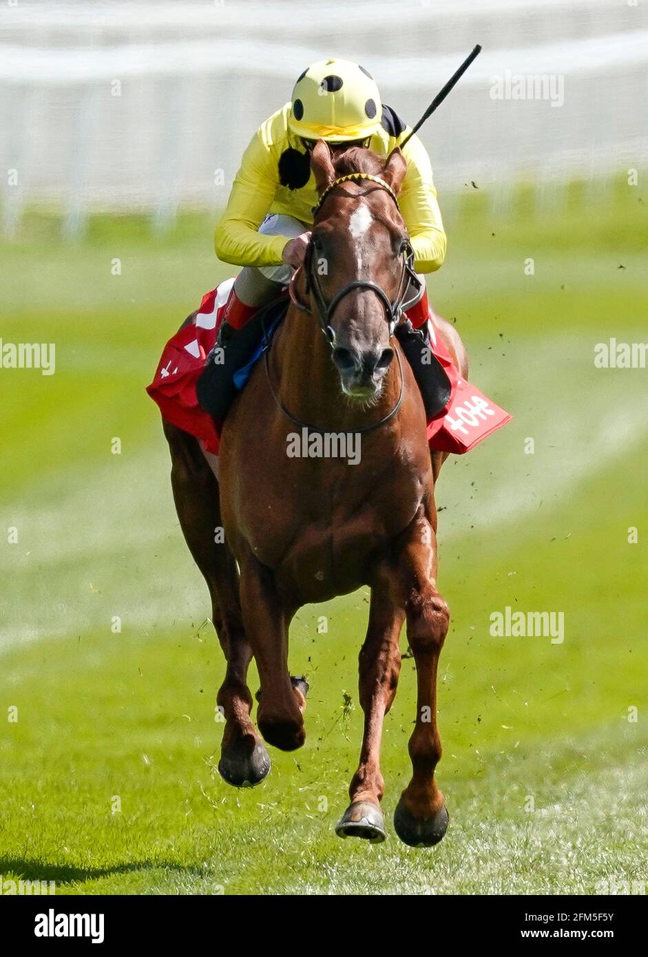 El Drama ridden by Andrea Atzeni on their way to winning the tote+ Biggest Dividends At tote.co.uk Dee Stakes during Ladies Day of the Boodles May Festival 2021 at Chester Racecourse. Picture date: Thursday May 6, 2021. See PA story RACING Chester. Photo credit should read: Alan Crowhurst/PA Wire. RESTRICTIONS: Use subject to restrictions. Editorial use only, no commercial use without prior consent from rights holder. Stock Photo