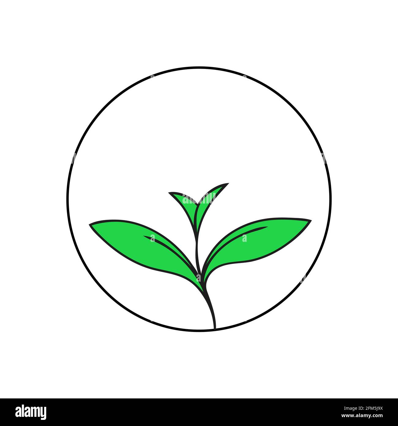 Green young sprout of a plant. Ecology symbol. Outline illustration on a white background Stock Photo