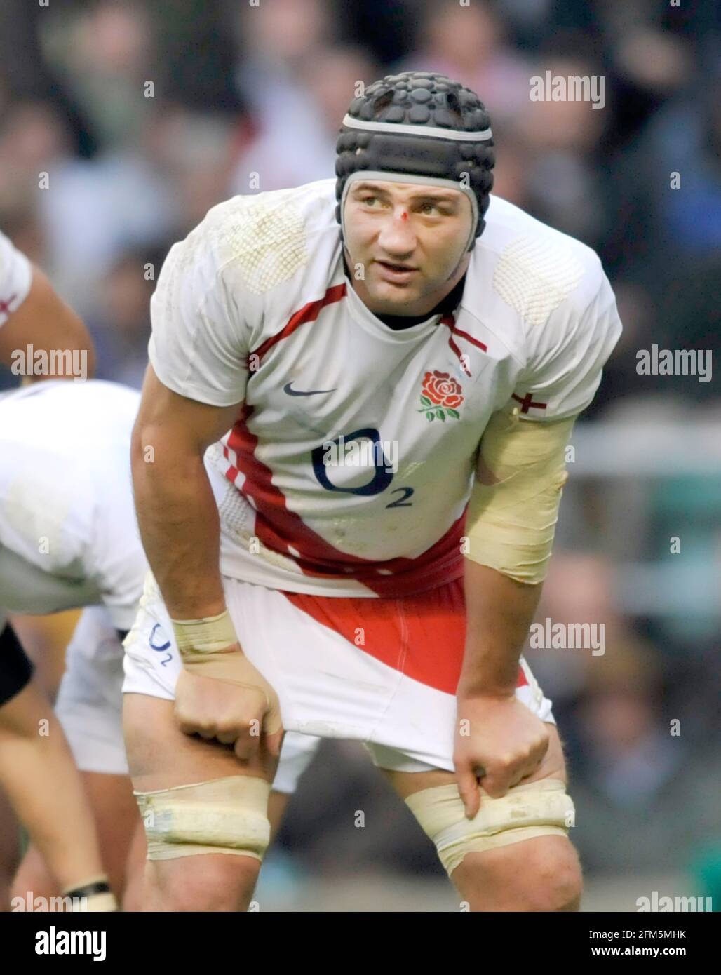 Stewv hires stock photography and images Alamy