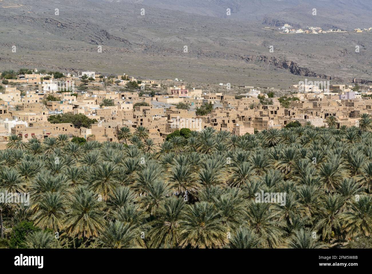 The village Al Hamra at the foot of the Hajar mountains amidst a date plantation.  Ad Dakhiliyah Region, Oman. Stock Photo