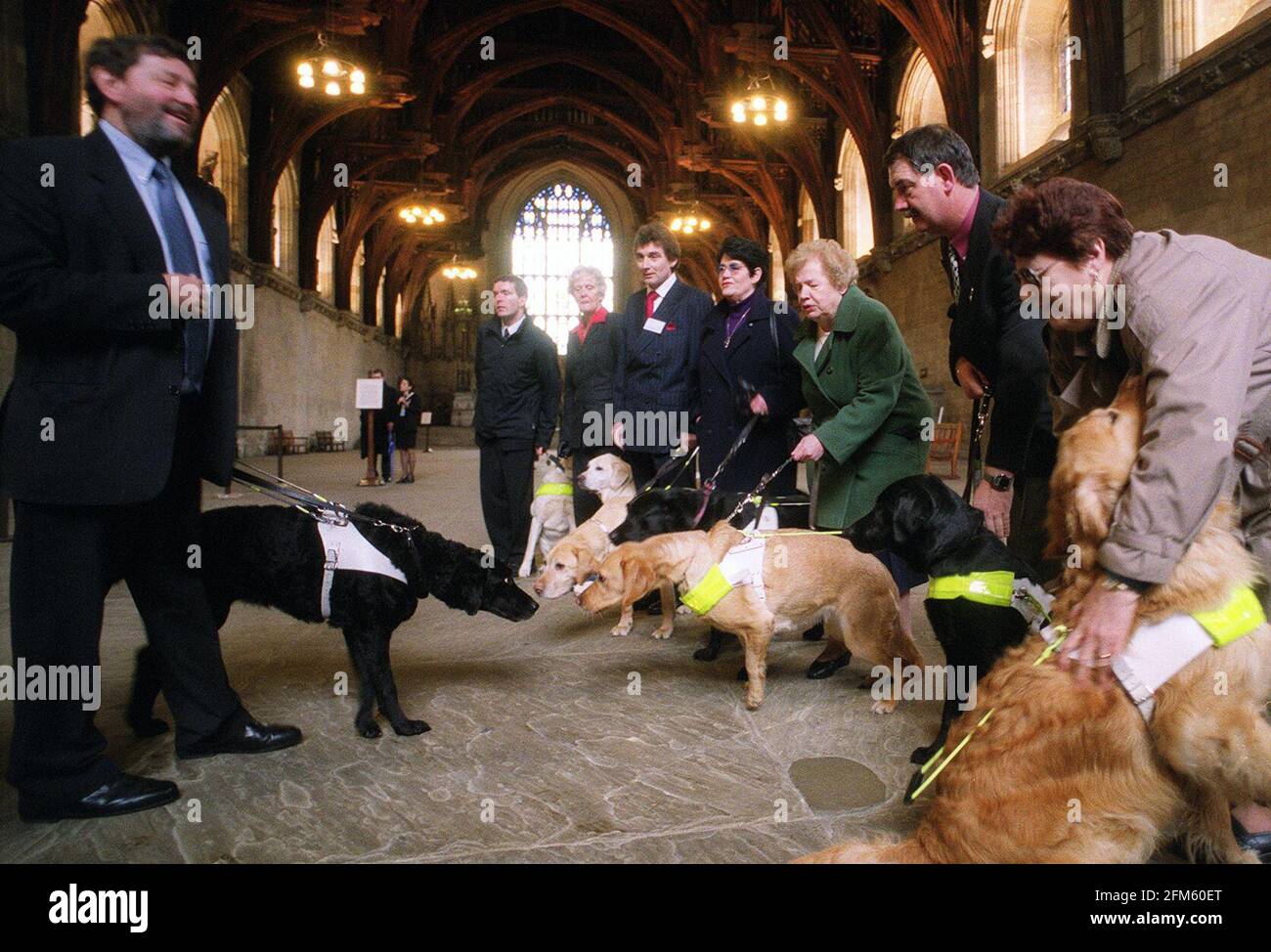 David Blunkett Guide Dogs For the Blind Association March 2001The guide dogs for the blind assocition held a reception at the House of Commons  to celebrate the introduction of section 37 of the disability discrimination act 1995 which requires licensed taxi drivers to carry guide dogs in their car  David Blunkett MP and Education secretary with his guide dog Lucy seen here meeting some of the association members and their dogs in the House of Commons Stock Photo