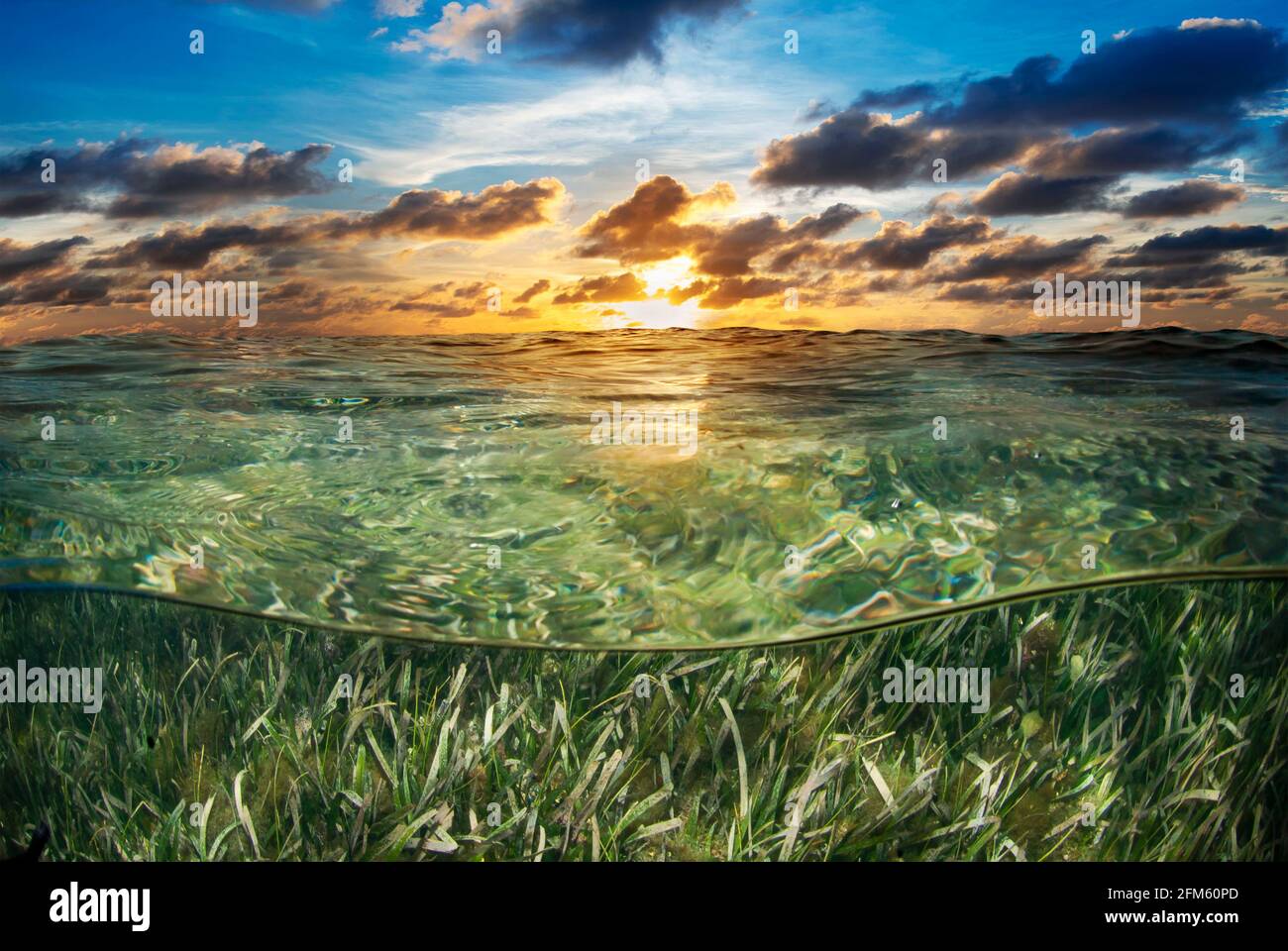 Half above and half below image of Seagrass and sunset Stock Photo
