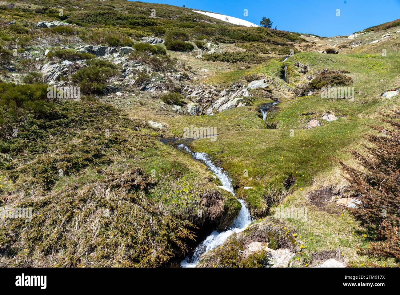 Small river strong stream flowing hi res stock photography and images