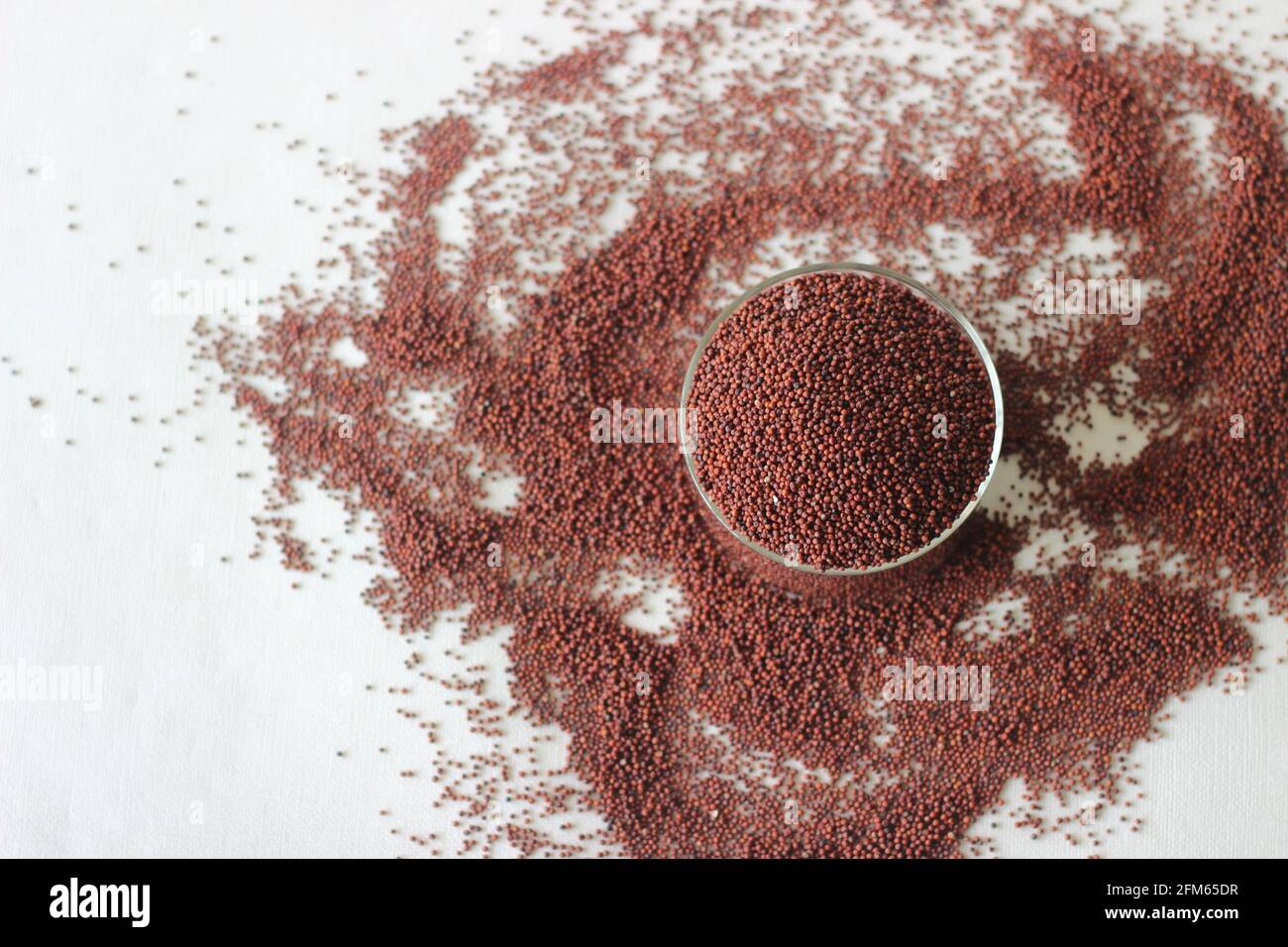 Eleusine coracana grain or finger millet, also known as ragi in India, kodo in Nepal. It is an