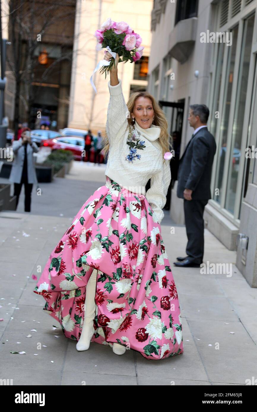 New York - NY - 20200308 Celine Dion looks stunning in an 'Oscar De La ...