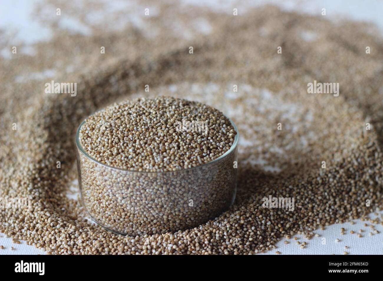 A spread of Paspalum scrobiculatum grains, commonly called Koda millet, is an annual grain that is grown primarily in Nepal, India, East Asia and in W Stock Photo