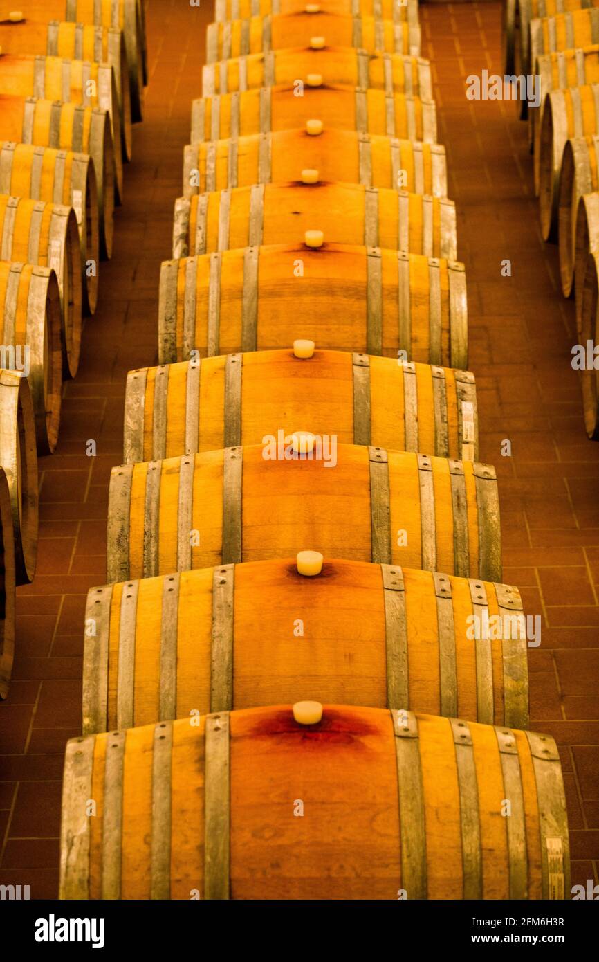yellow winecellar for red wine in sicily full of their typical red