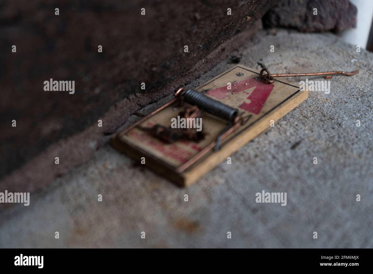 Wooden old mouse trap hi-res stock photography and images - Alamy