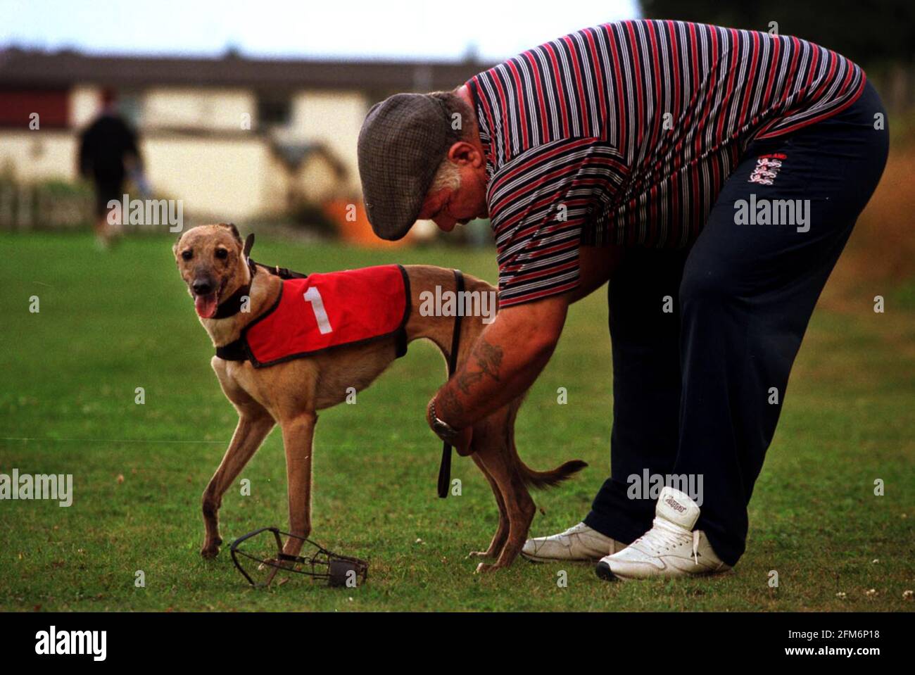 WHIPPET RACING AT THE JOLLY FRIAR PUB IN BLIDWORTH, NEAR NOTTINGHAM