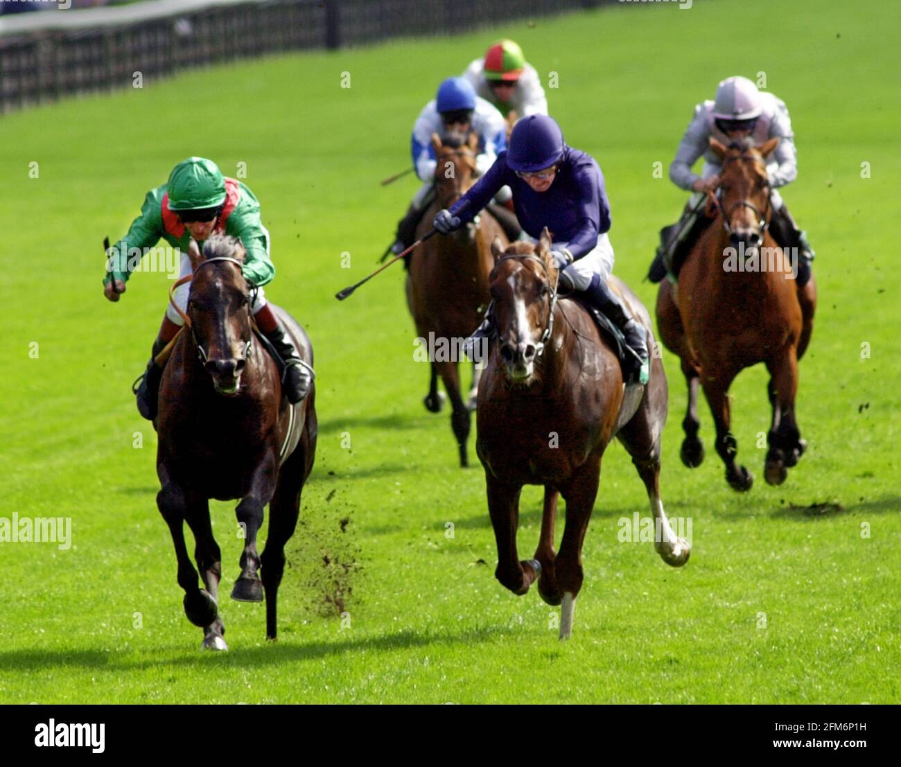 THE JUDDMONTE INTERNATIONAL FINALS (L-R) KALANISI AND WINNER GIANT'S CAUSEWAY STAKES. Stock Photo