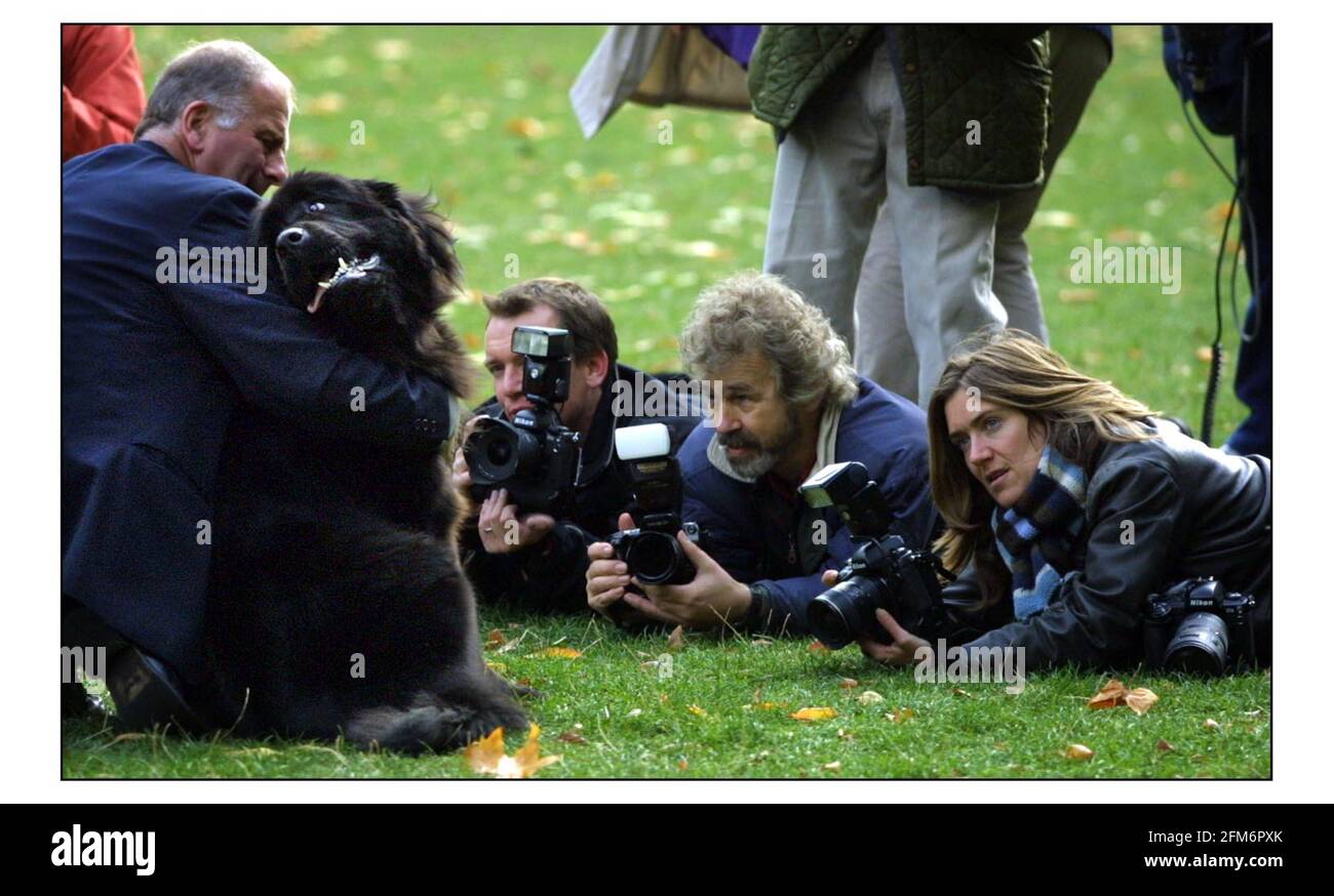 Westminster Dog of the Year.......AND THE WINNER IS..Roger Gale  Tory NP for North Thanetand Lulu the 18 month old Newfoundland  pic David Sandison 20/10/2003 Stock Photo
