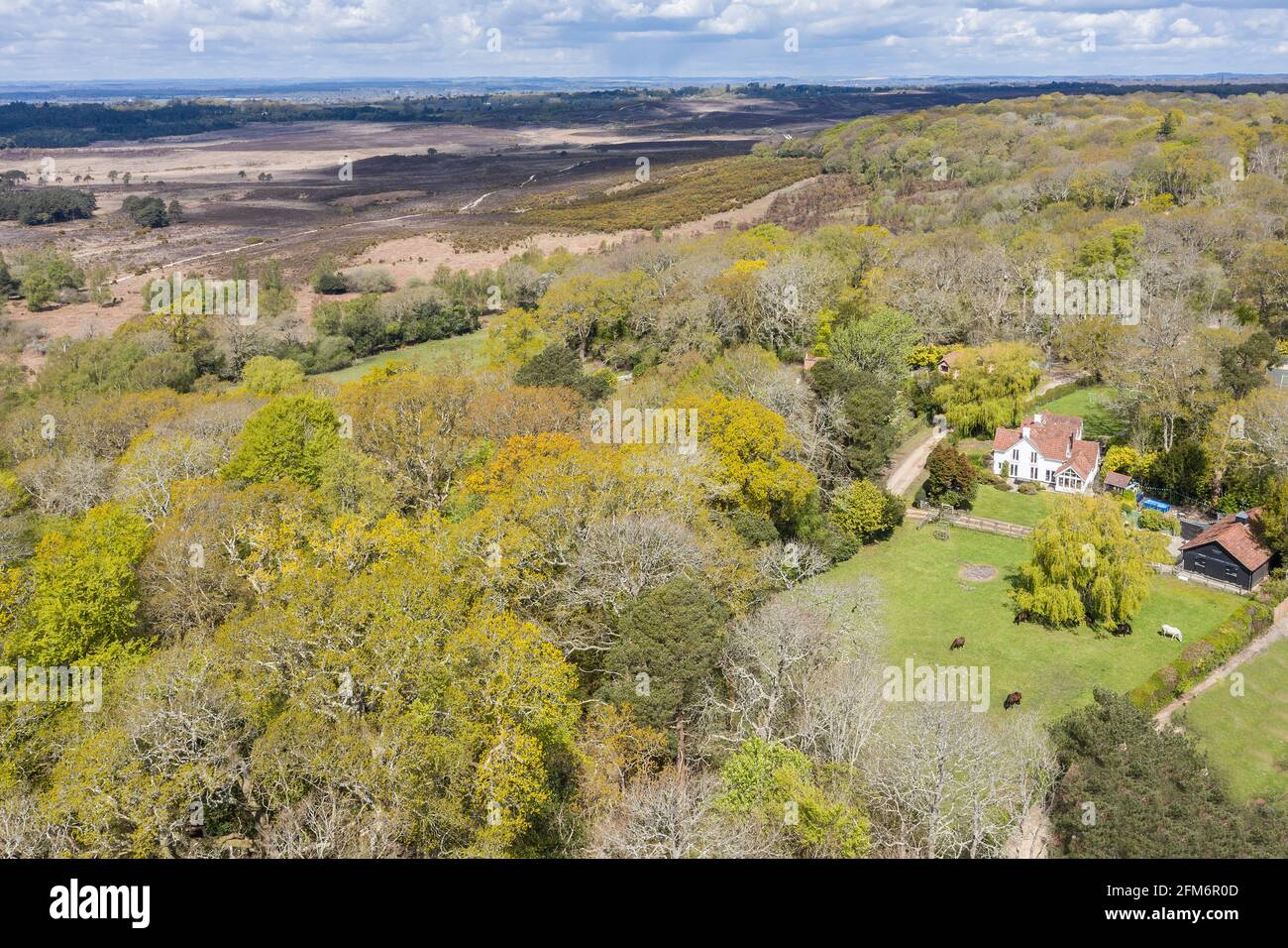 New Forest from the air Stock Photo