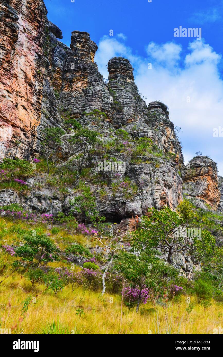 Presidente Kubitschek Minas Gerais fonte: c8.alamy.com Fonte: c8.alamy.com