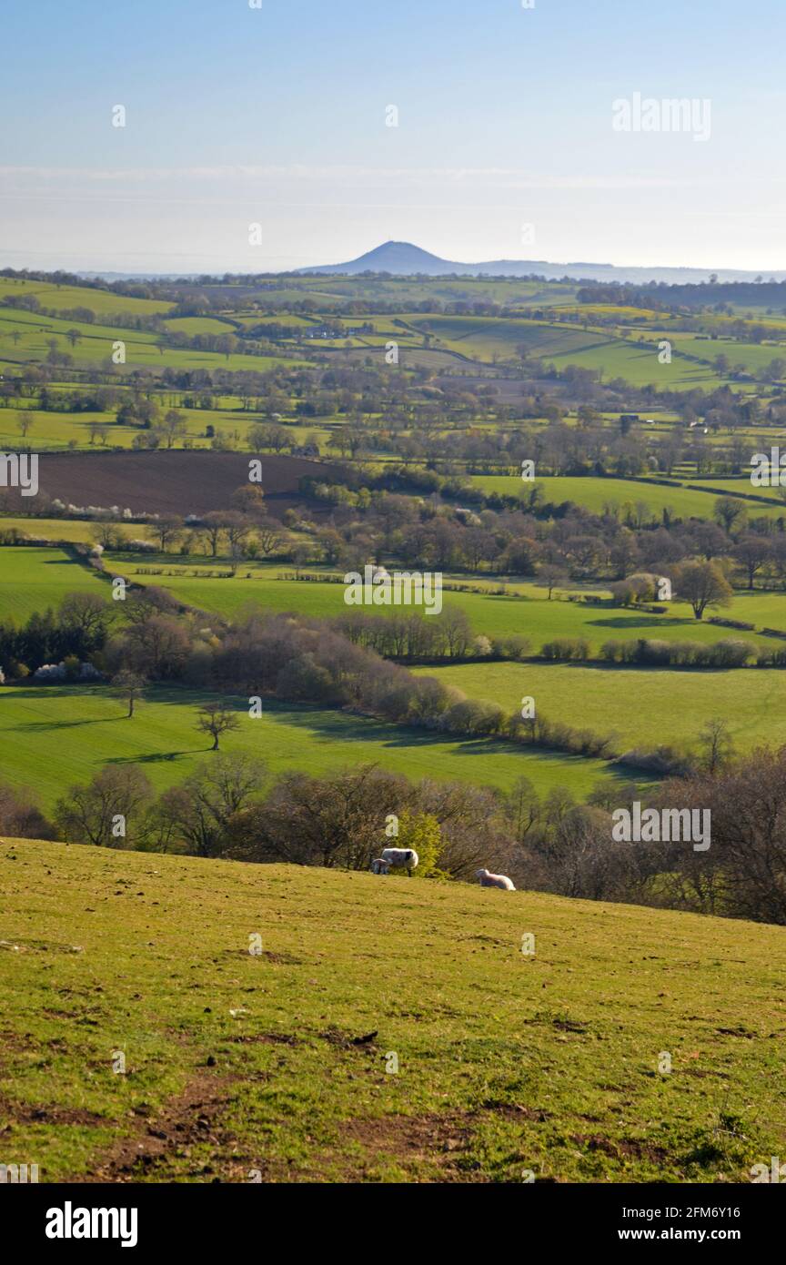 Views of farmland to the Wrekin from Cardington Moor, Shropshire Stock Photo