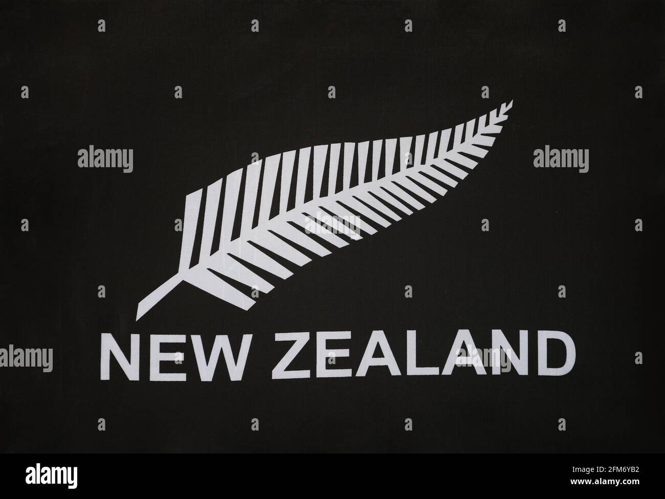 Closeup of New Zealand silver fern flag Stock Photo Alamy Closeup of New Zealand silver fern flag Stock Photo Alamy