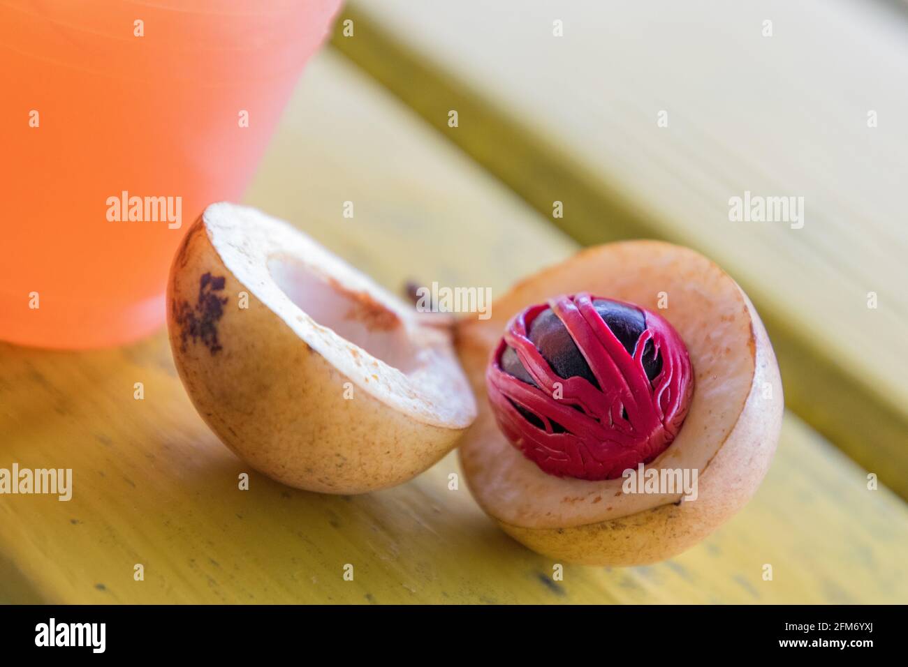 Ripe nutmeg fruit seed and bright red mace membrane Stock Photo Alamy