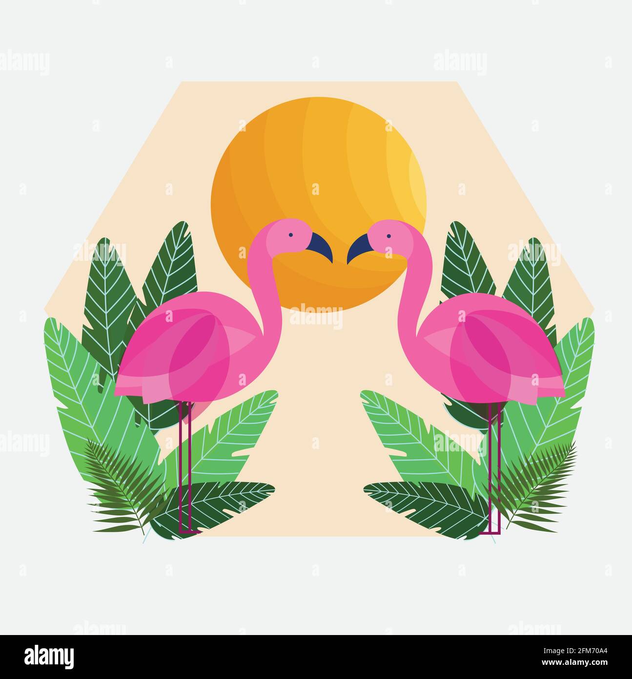 flamingos tropical leaves sun cartoon Stock Vector Image & Art - Alamy