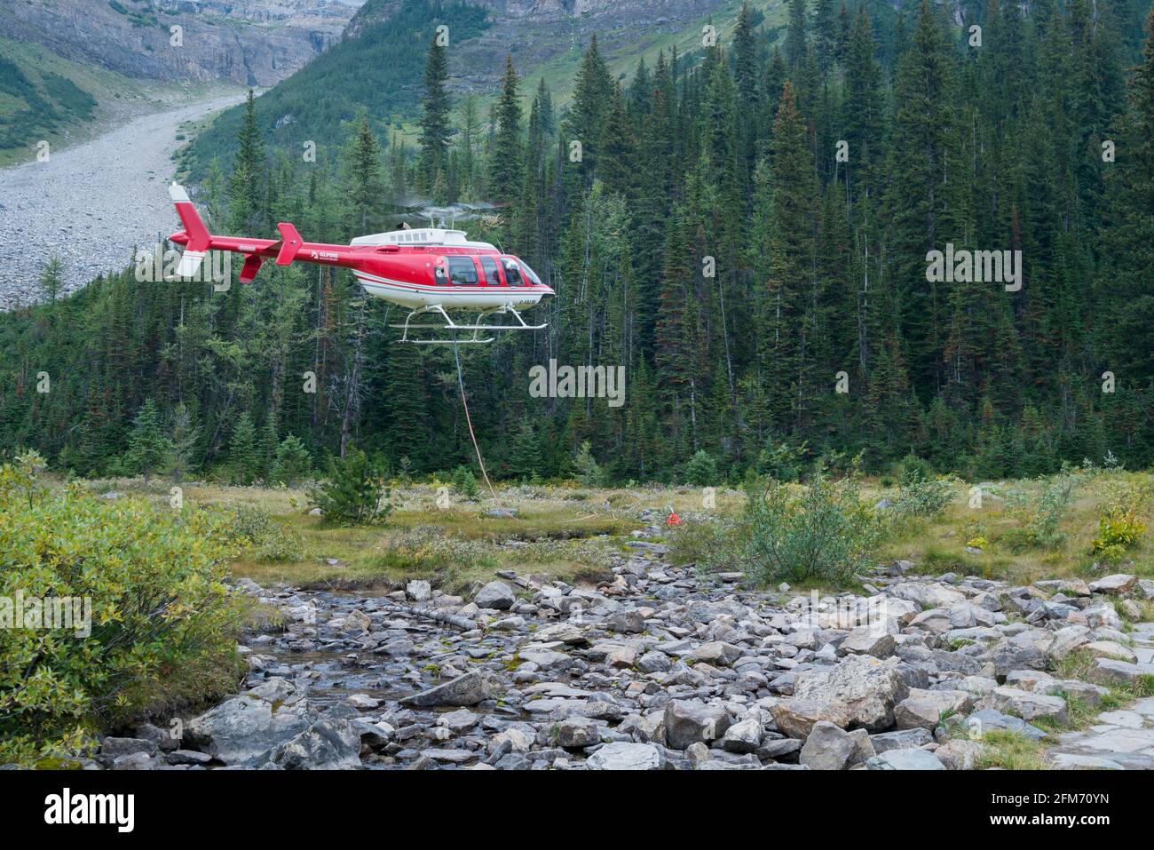 Banff, Canada - 08.30.2018: Red and blue Alpine helicopter going to touch down in a meadow in Canadian Rockies. Service for Plain of Six Glaciers Tea Stock Photo