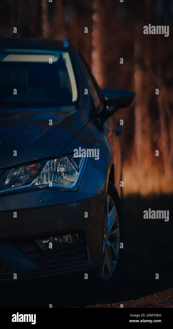 Vertical shot of a gray car parked outside in the shade with a forest ...