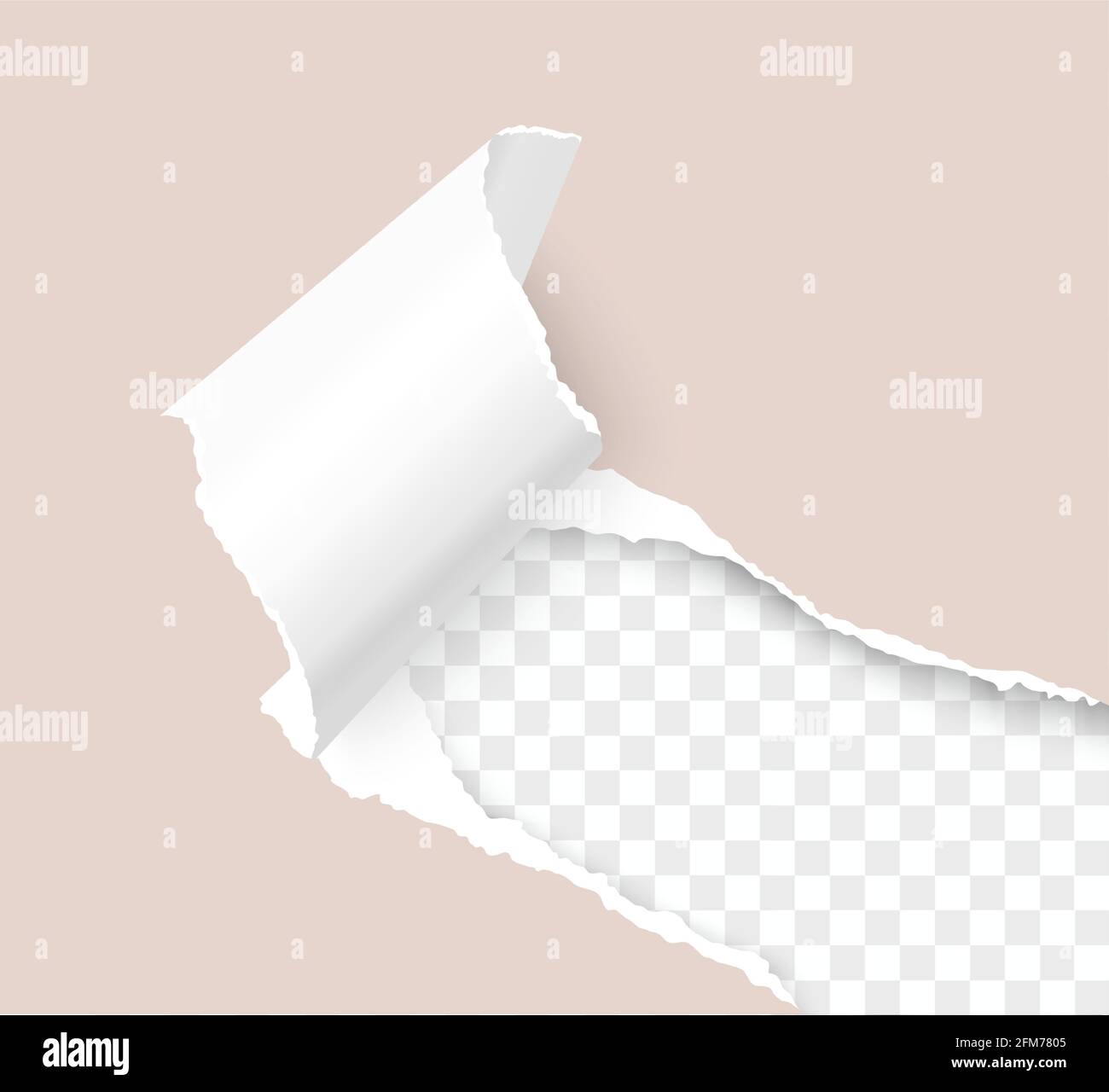 Torn Paper Corner Realistic Vector 3d Template Over Transparent Background Stock Vector Image Art Alamy