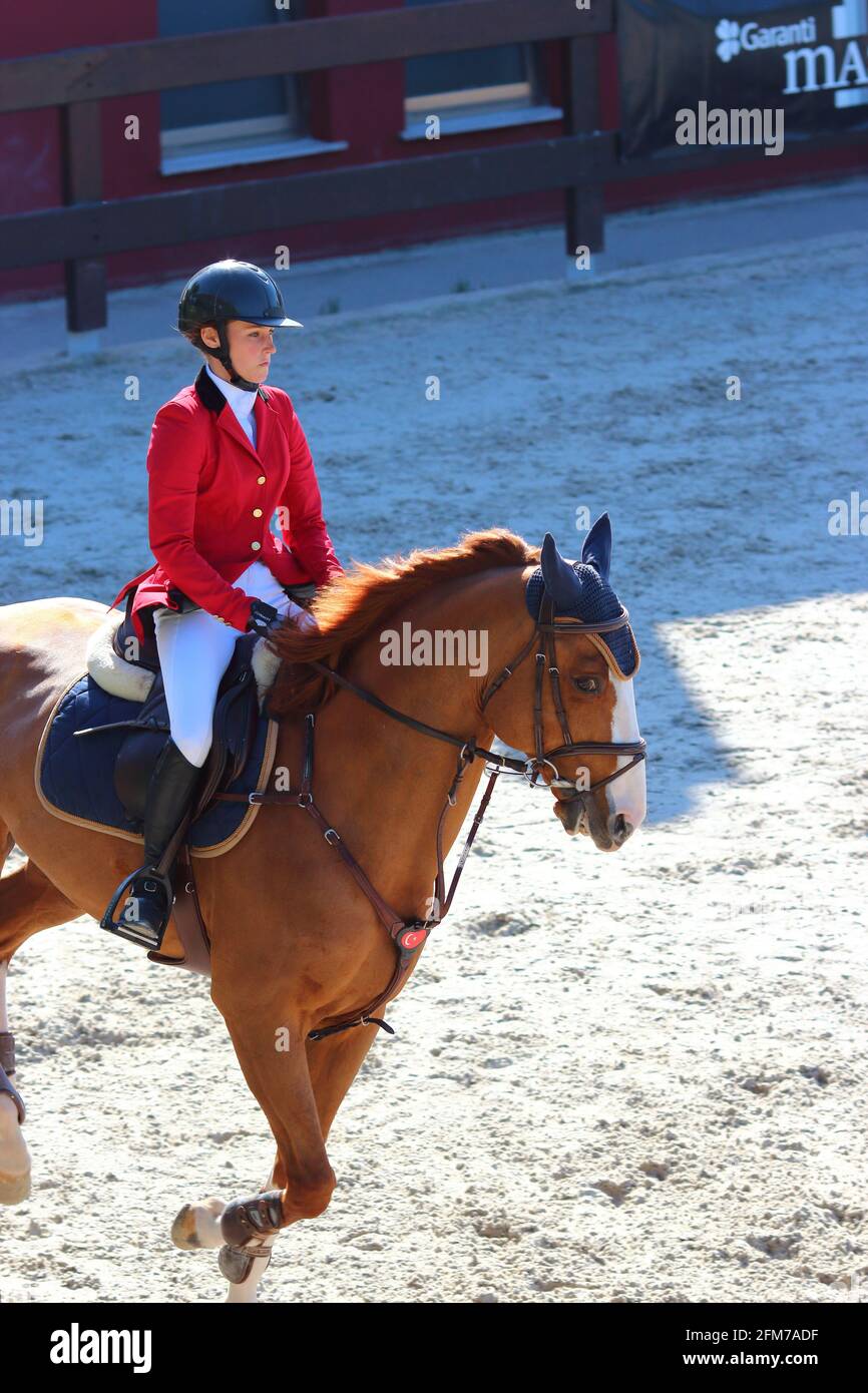 Equestrian Sports, Horse Jumping, Horse Riding Stock Photo