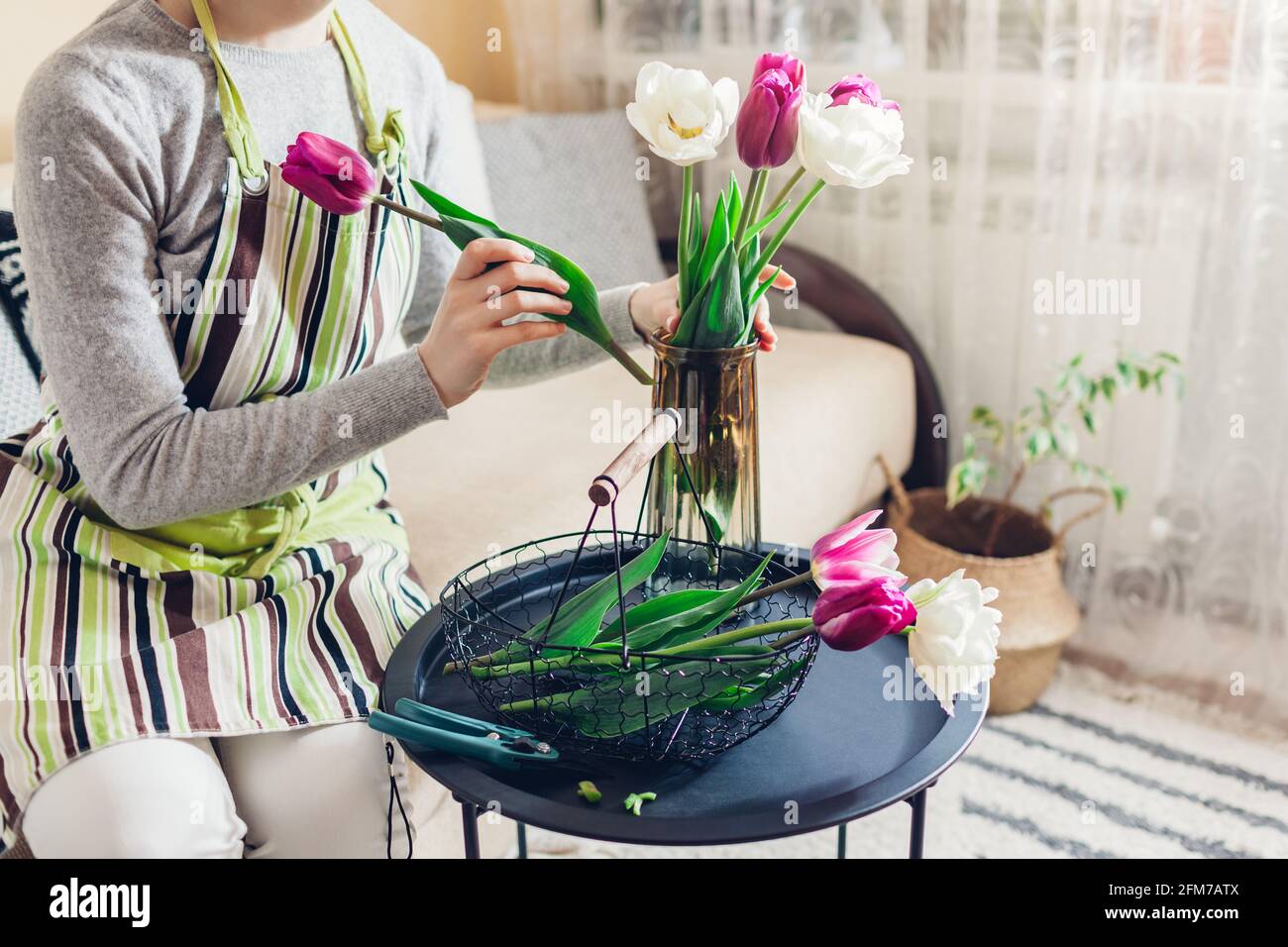 Woman puts bouquet of tulips flowers in vase with water at home. Fresh