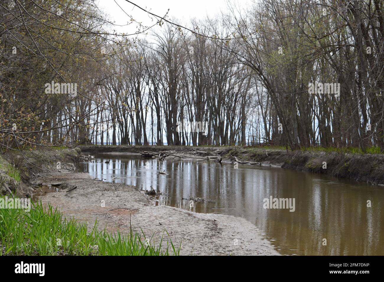 PointeYamachiche natural reserve Stock Photo Alamy