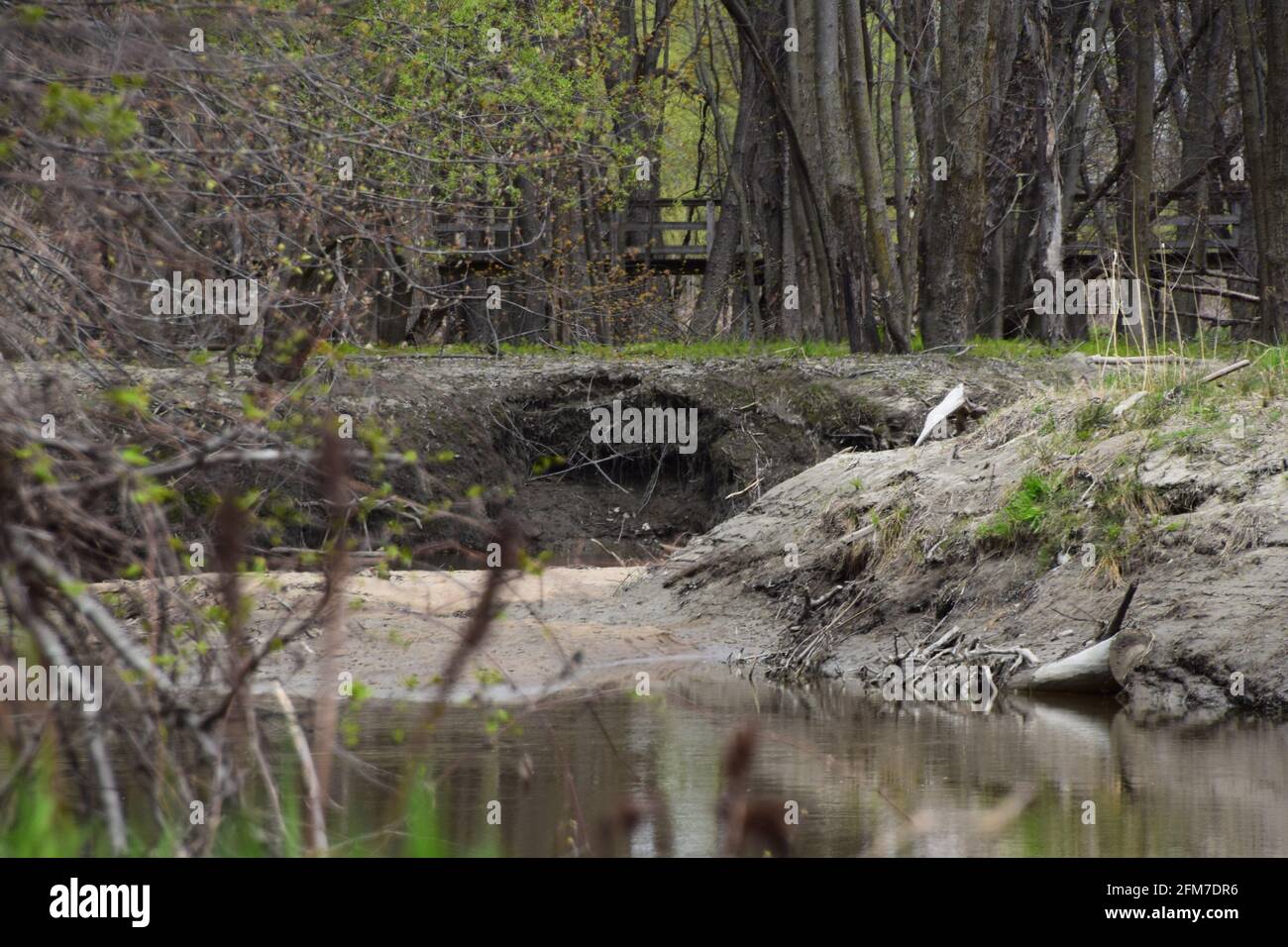 PointeYamachiche natural reserve Stock Photo Alamy