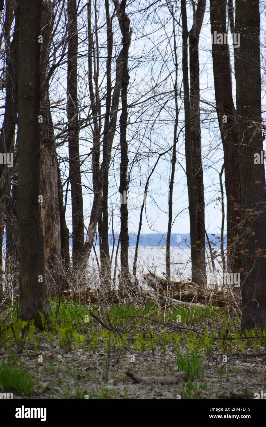 PointeYamachiche natural reserve Stock Photo Alamy