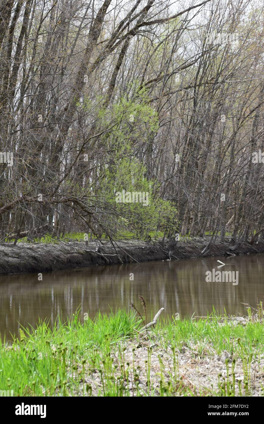PointeYamachiche natural reserve Stock Photo Alamy