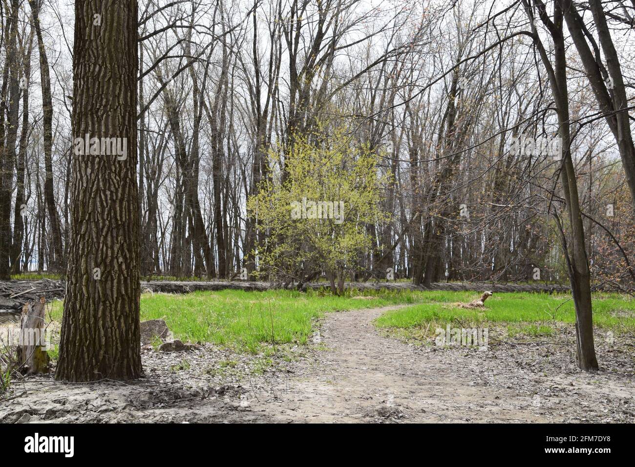 PointeYamachiche natural reserve Stock Photo Alamy