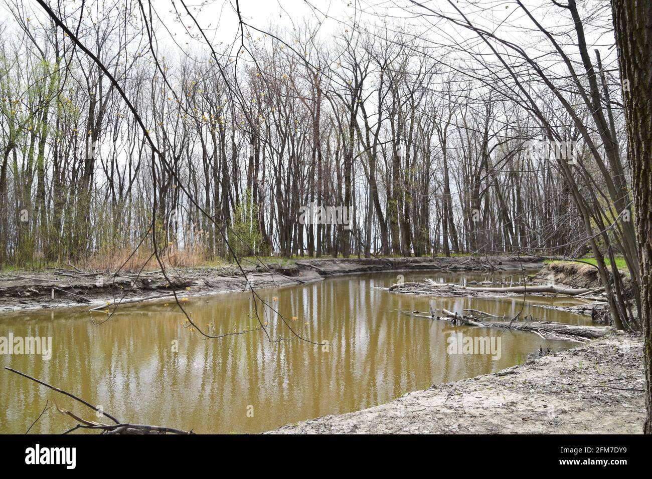 PointeYamachiche natural reserve Stock Photo Alamy