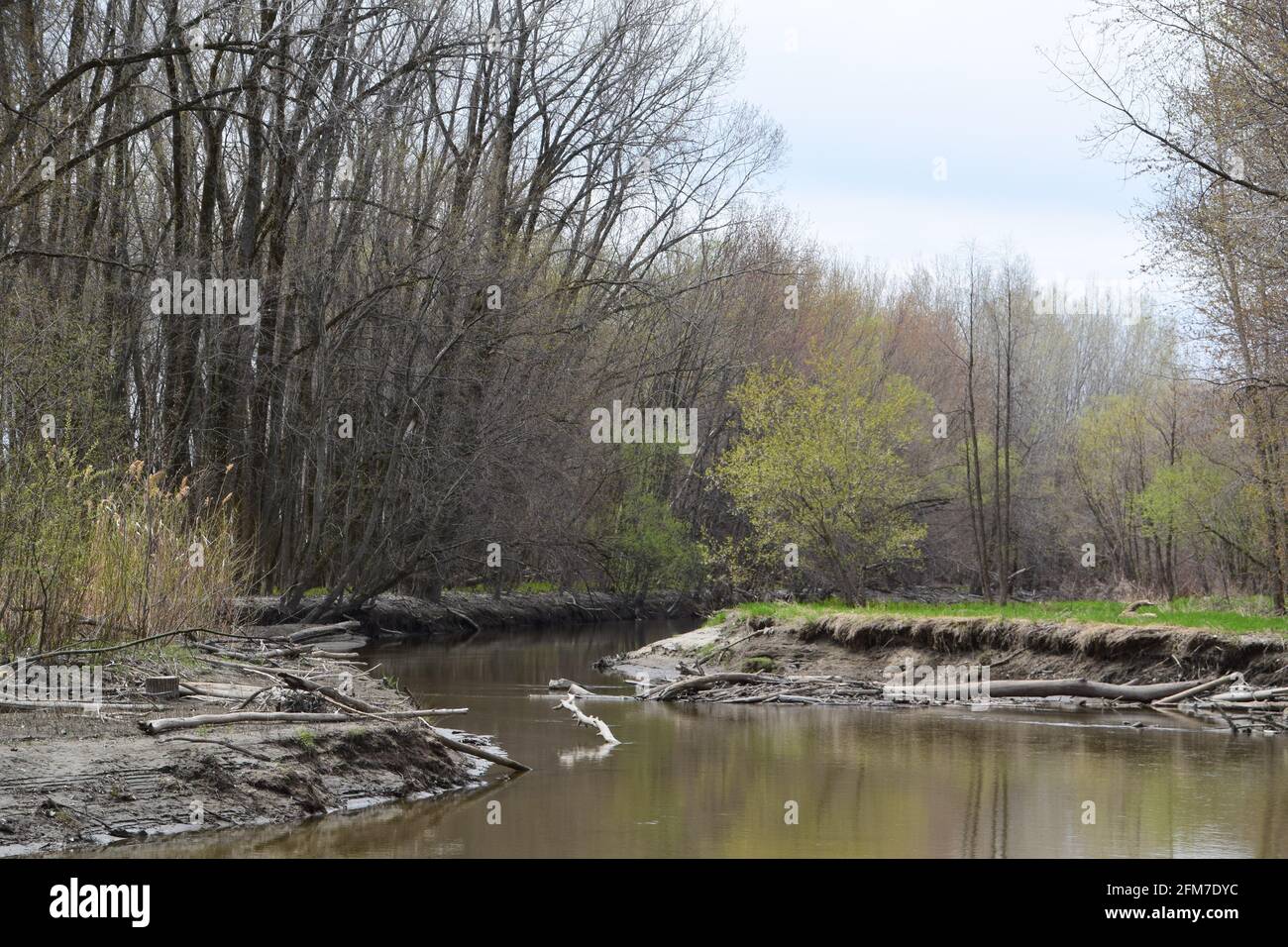 PointeYamachiche natural reserve Stock Photo Alamy