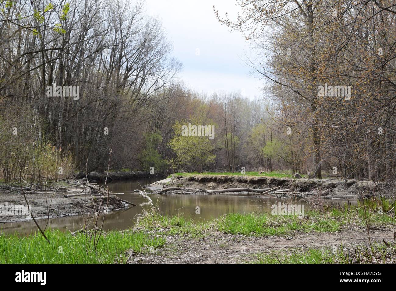 PointeYamachiche natural reserve Stock Photo Alamy