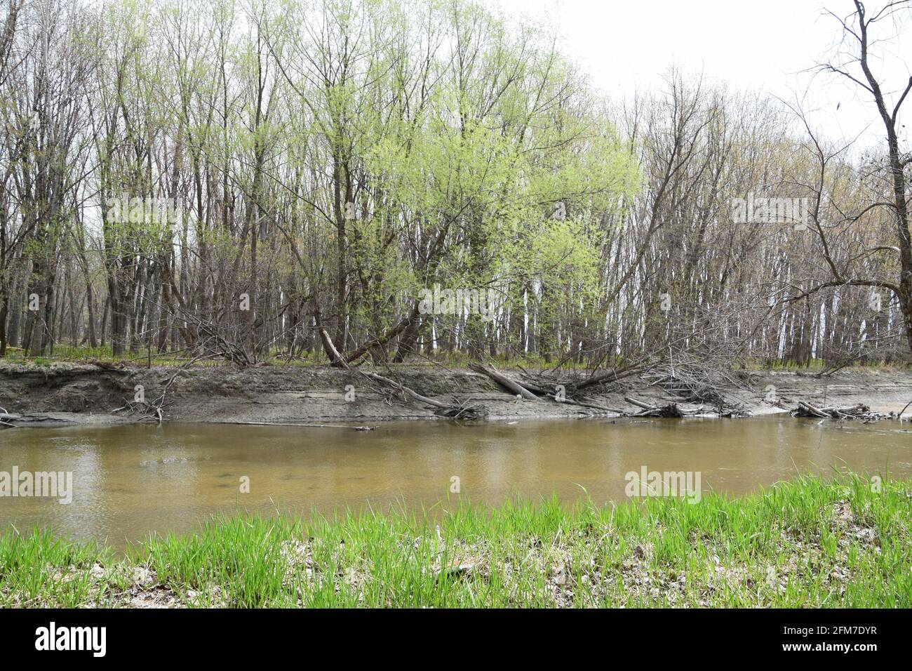PointeYamachiche natural reserve Stock Photo Alamy