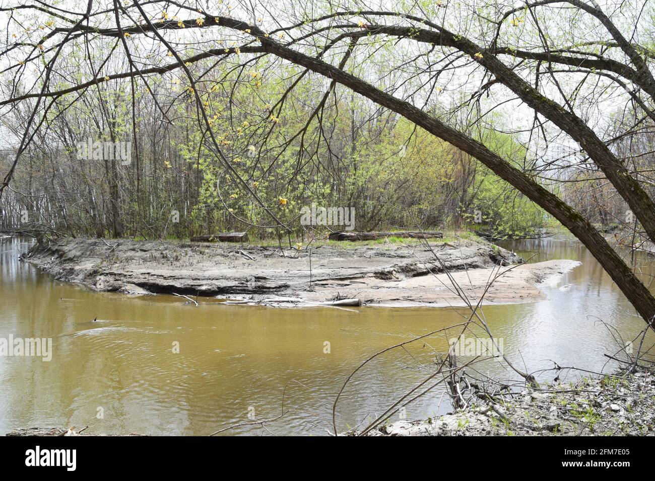 PointeYamachiche natural reserve Stock Photo Alamy
