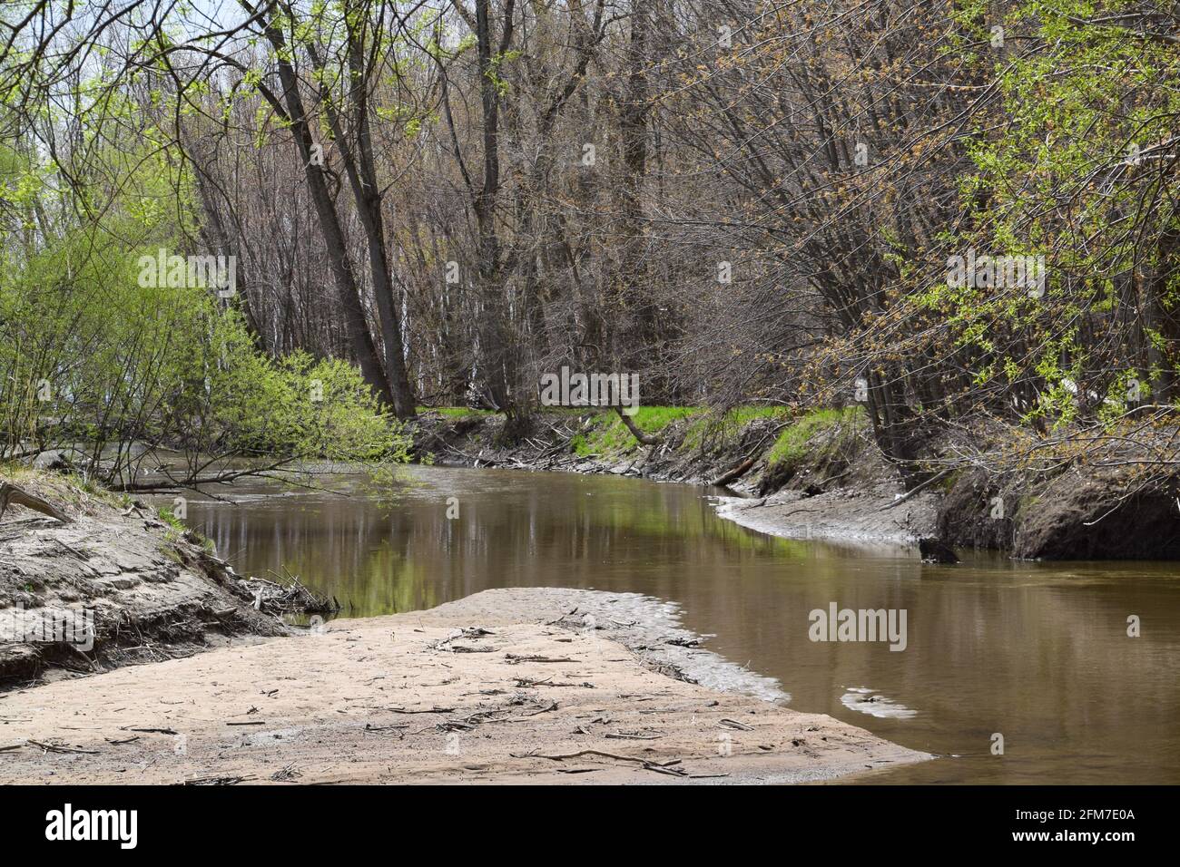 PointeYamachiche natural reserve Stock Photo Alamy