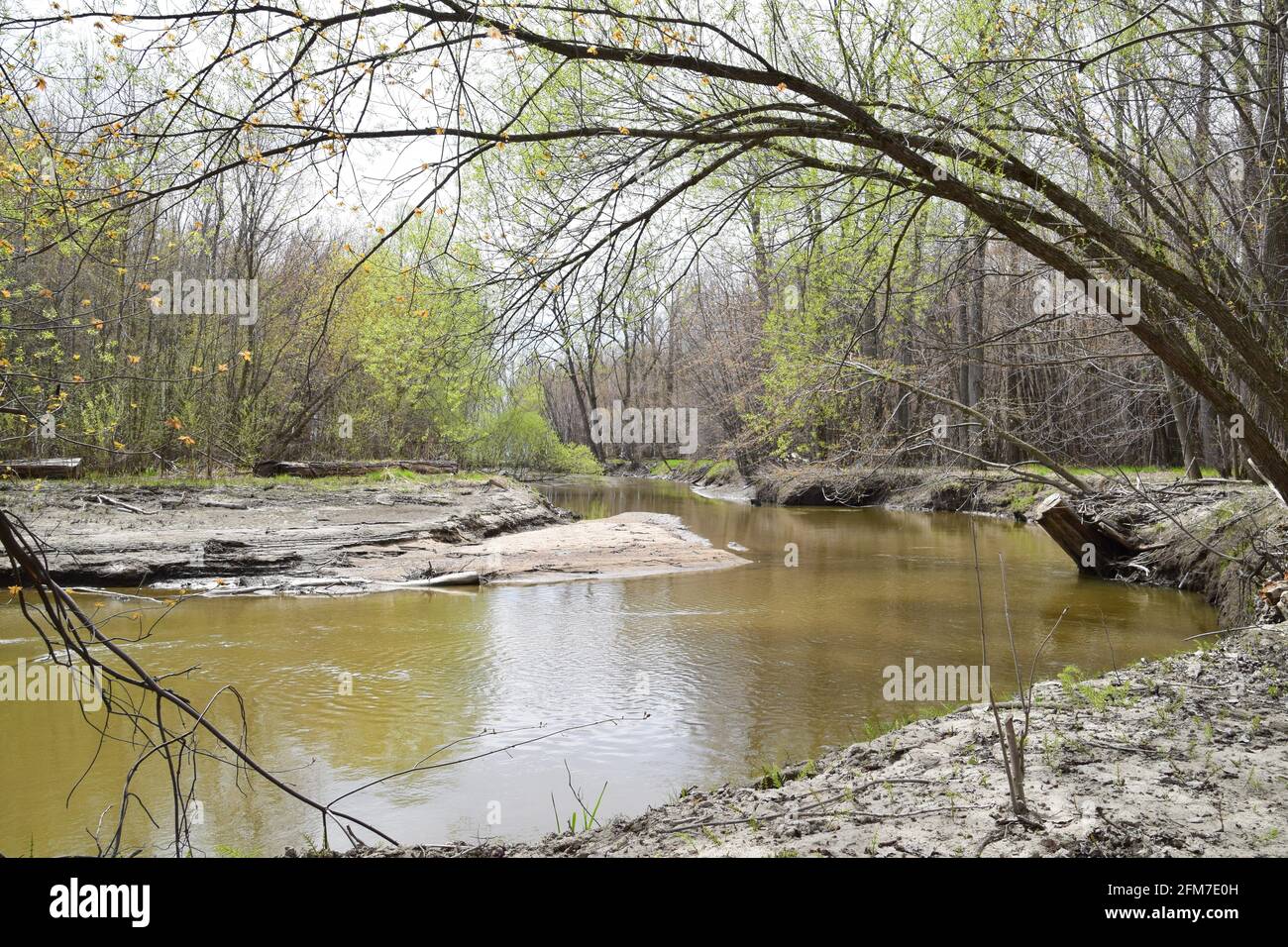 PointeYamachiche natural reserve Stock Photo Alamy