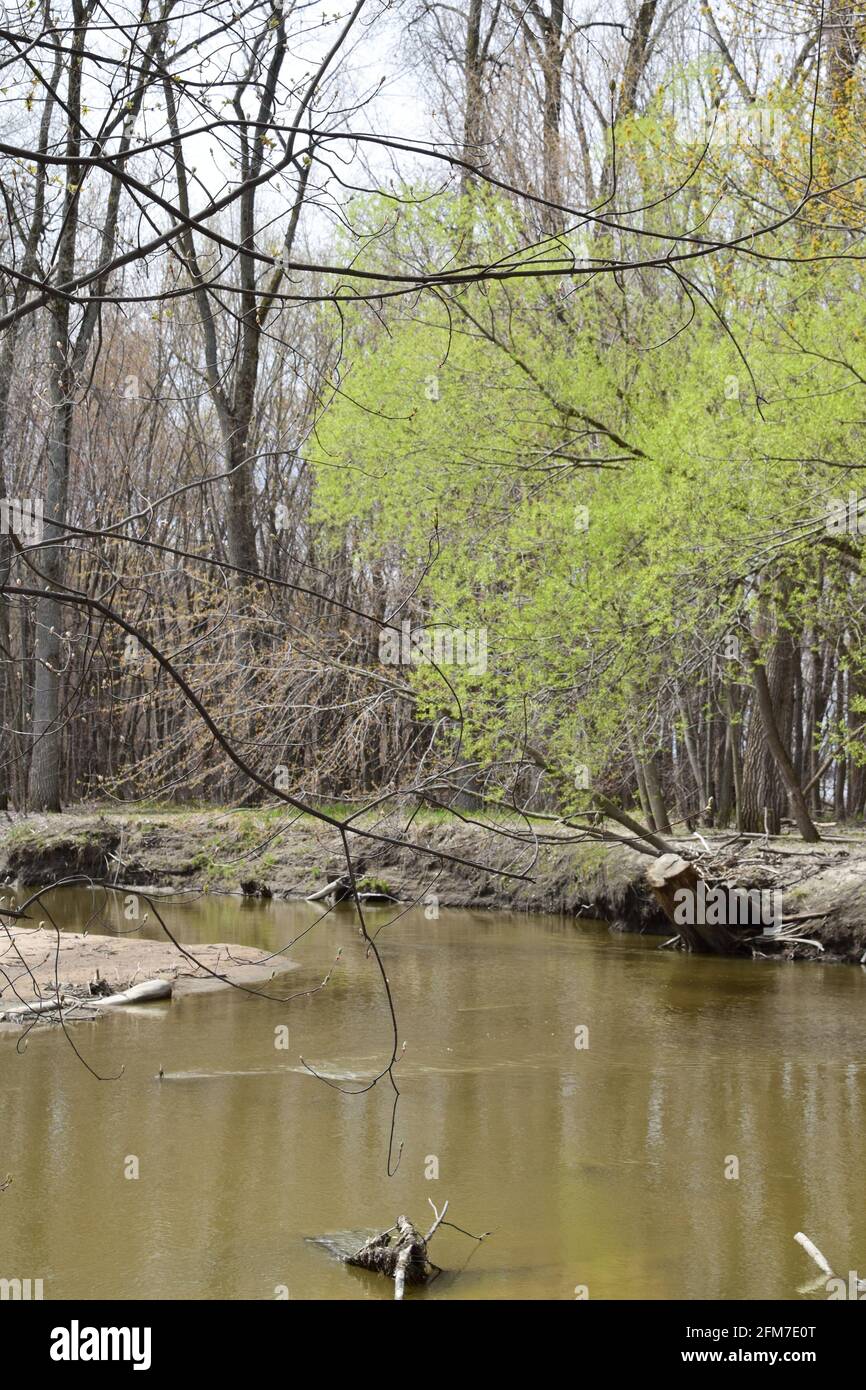 PointeYamachiche natural reserve Stock Photo Alamy