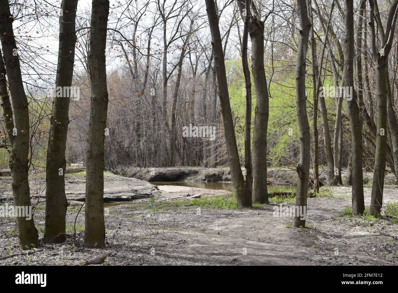 PointeYamachiche natural reserve Stock Photo Alamy