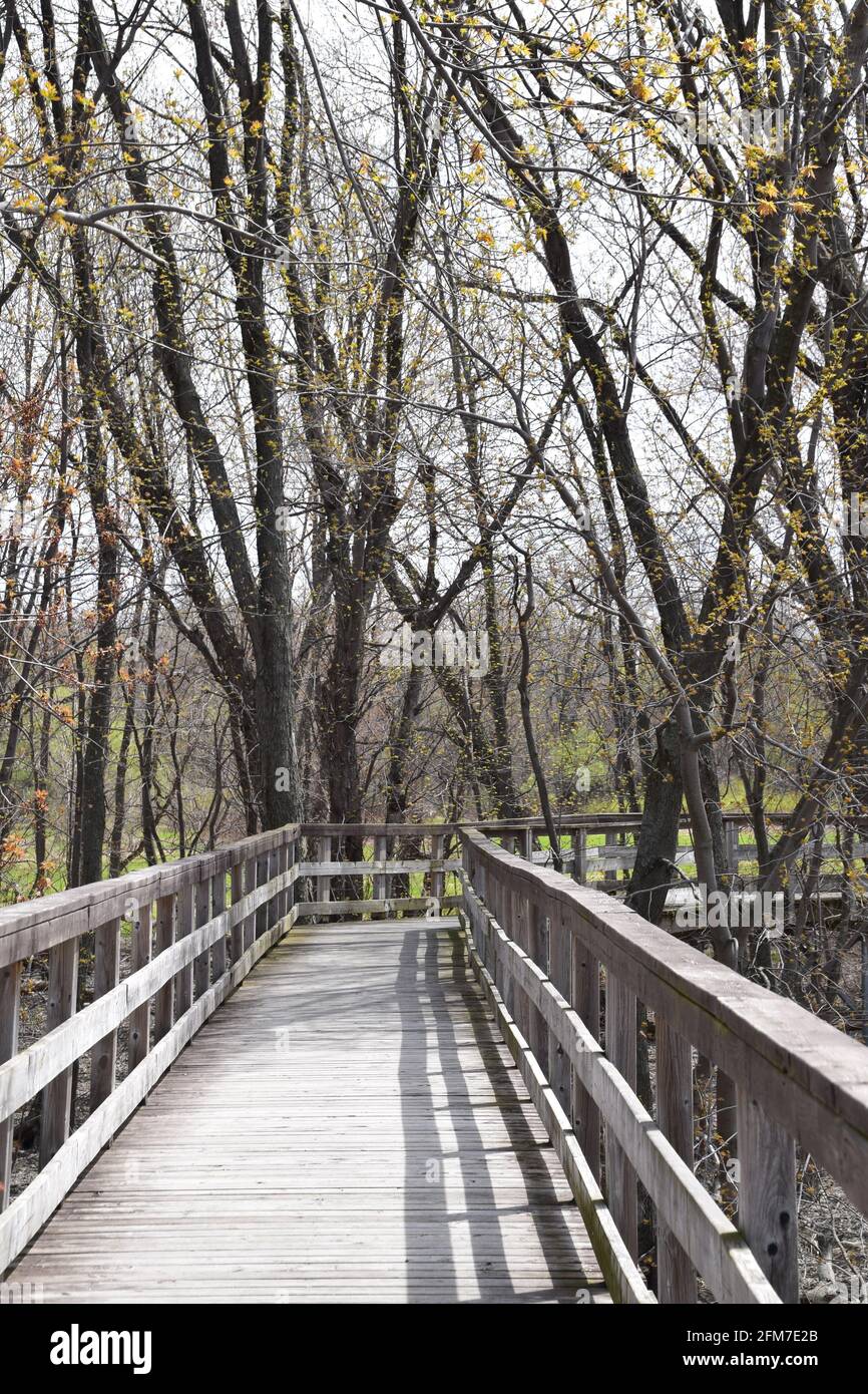 PointeYamachiche natural reserve Stock Photo Alamy