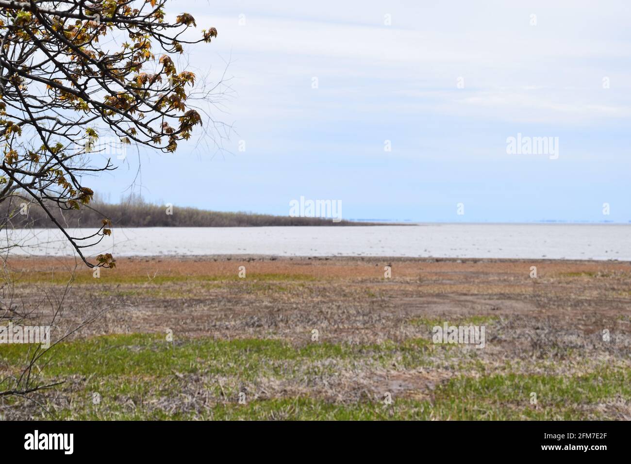 PointeYamachiche natural reserve Stock Photo Alamy