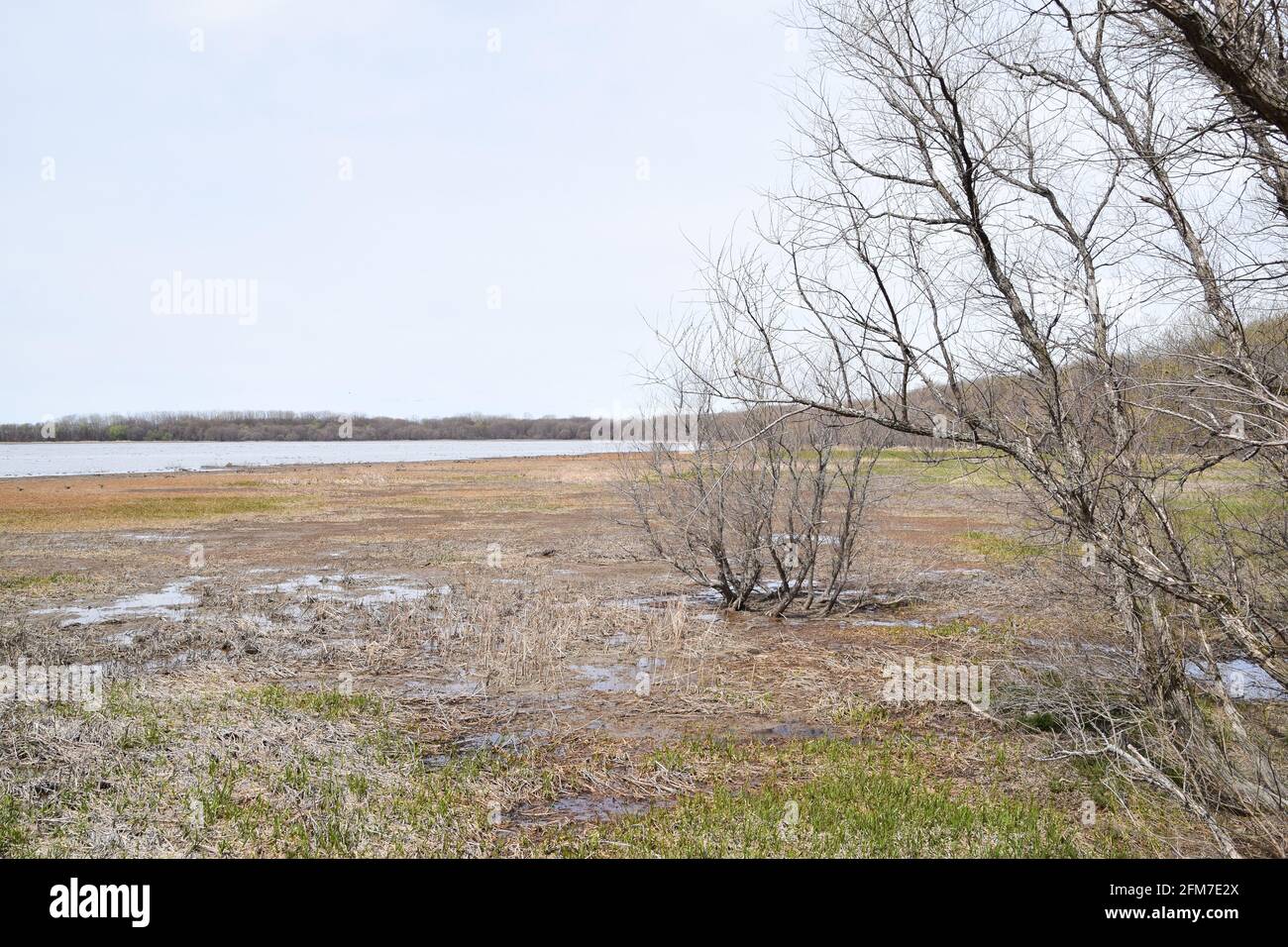 PointeYamachiche natural reserve Stock Photo Alamy