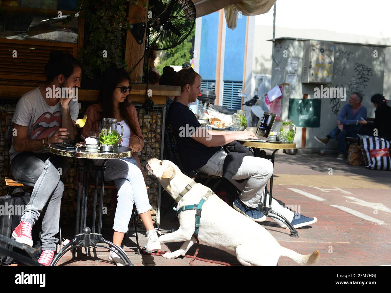 An Israeli couple with their pet dog sitting in a small cafe in Tel