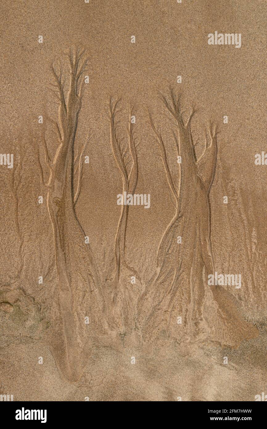Australian Beach Textures Stock Photo