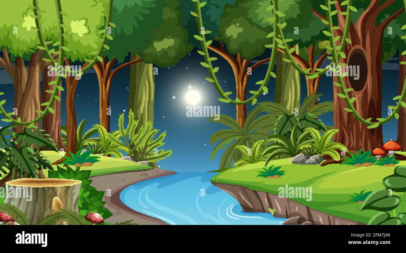 Forest landscape scene at night with many different trees illustration ...