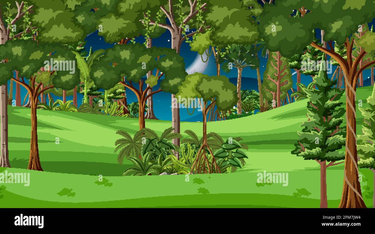 Forest landscape scene at night with many trees illustration Stock ...