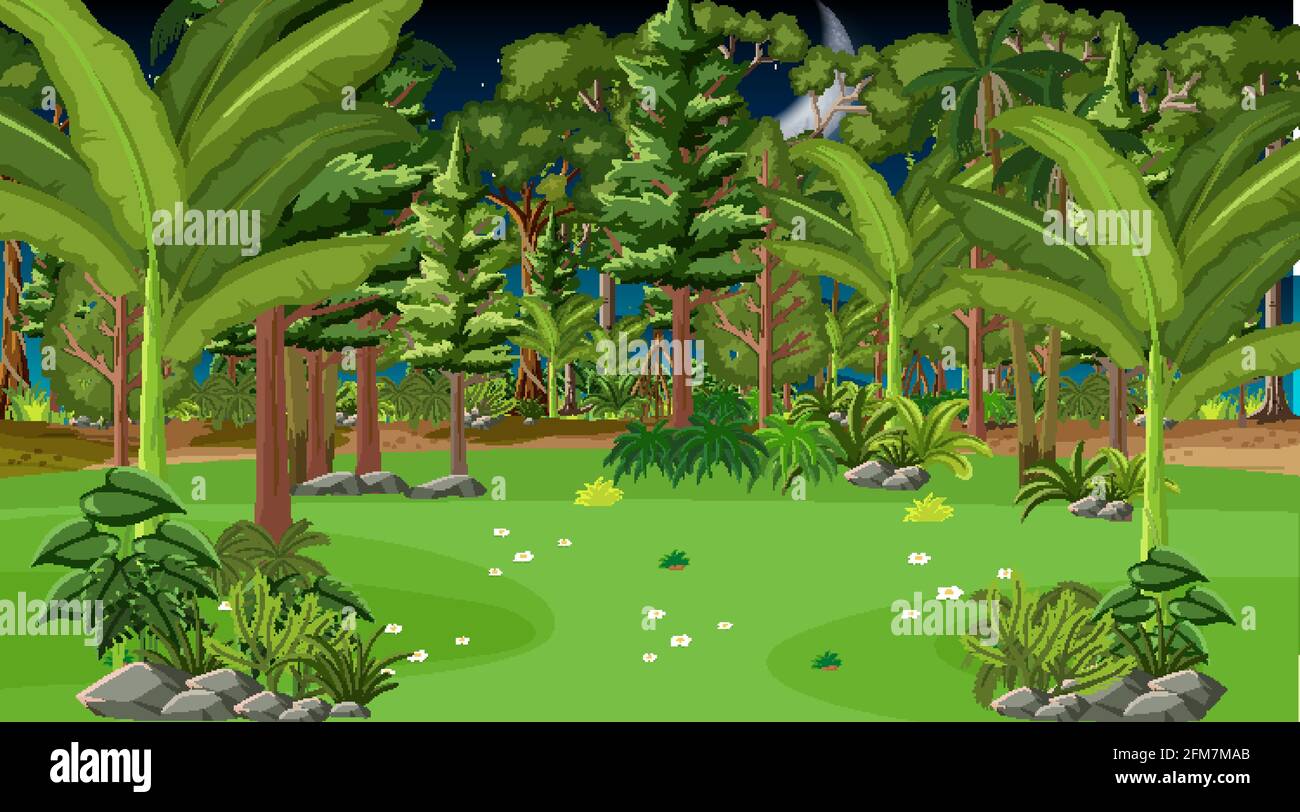 Forest landscape scene at night illustration Stock Vector Image & Art ...
