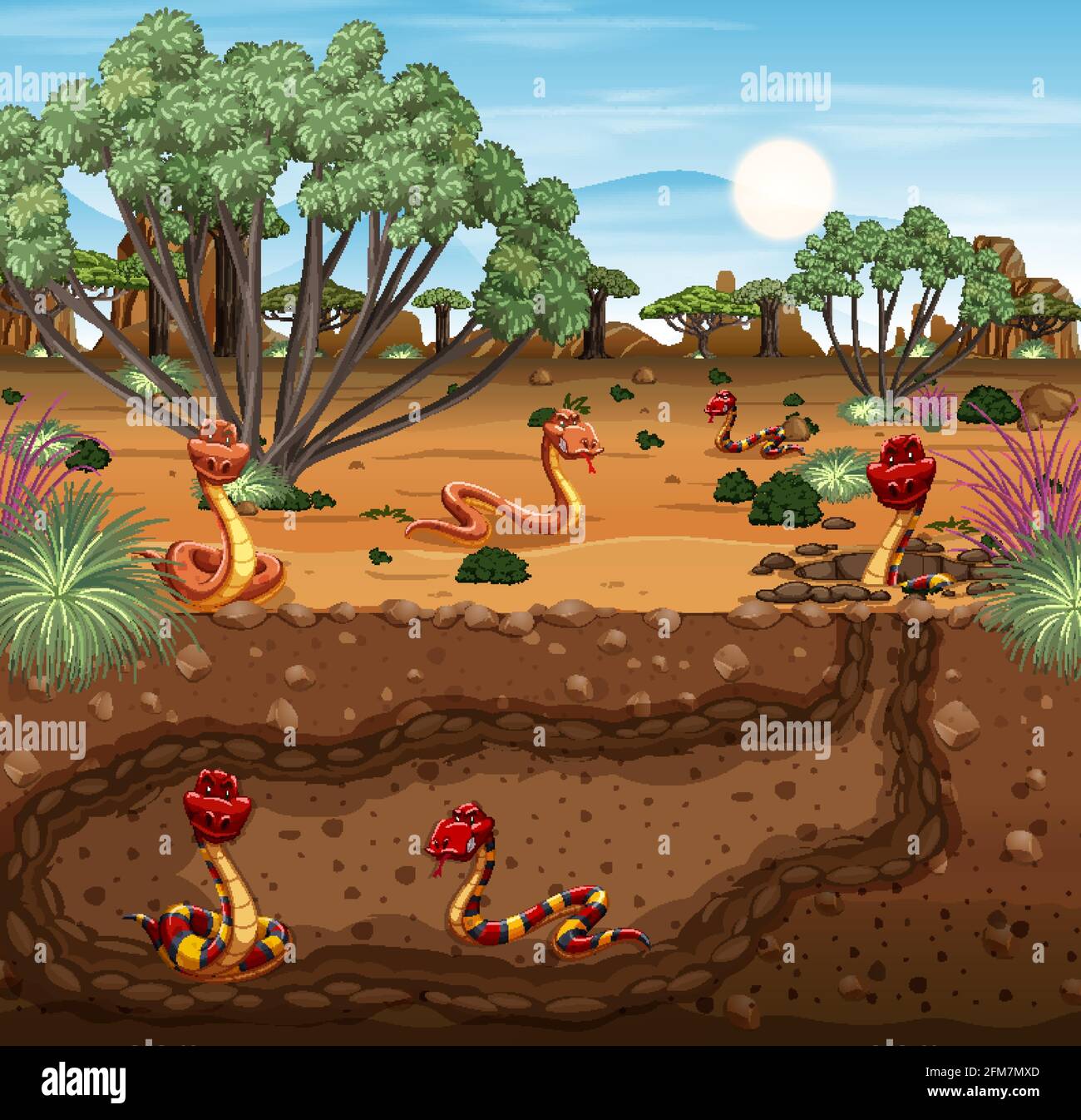 Underground animal burrow with snake family illustration Stock Vector Image  & Art - Alamy